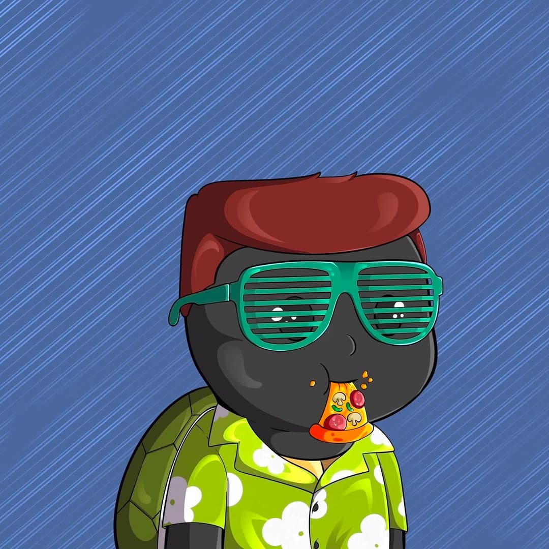 Turtle in shutter shades eating pizza